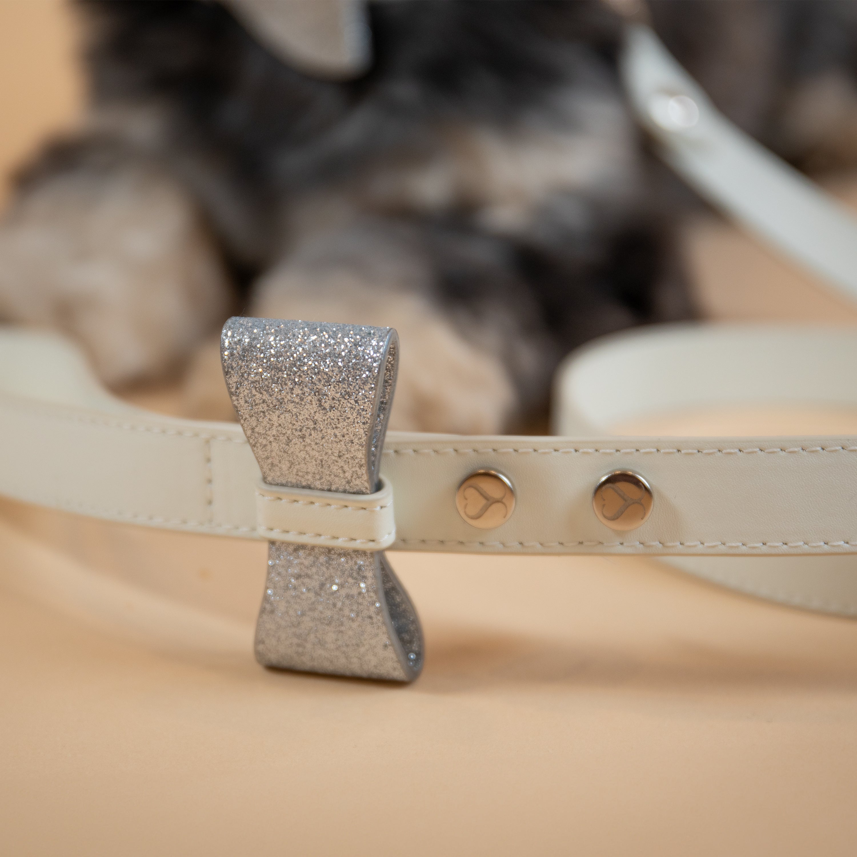 Glistening Glimmer Leash