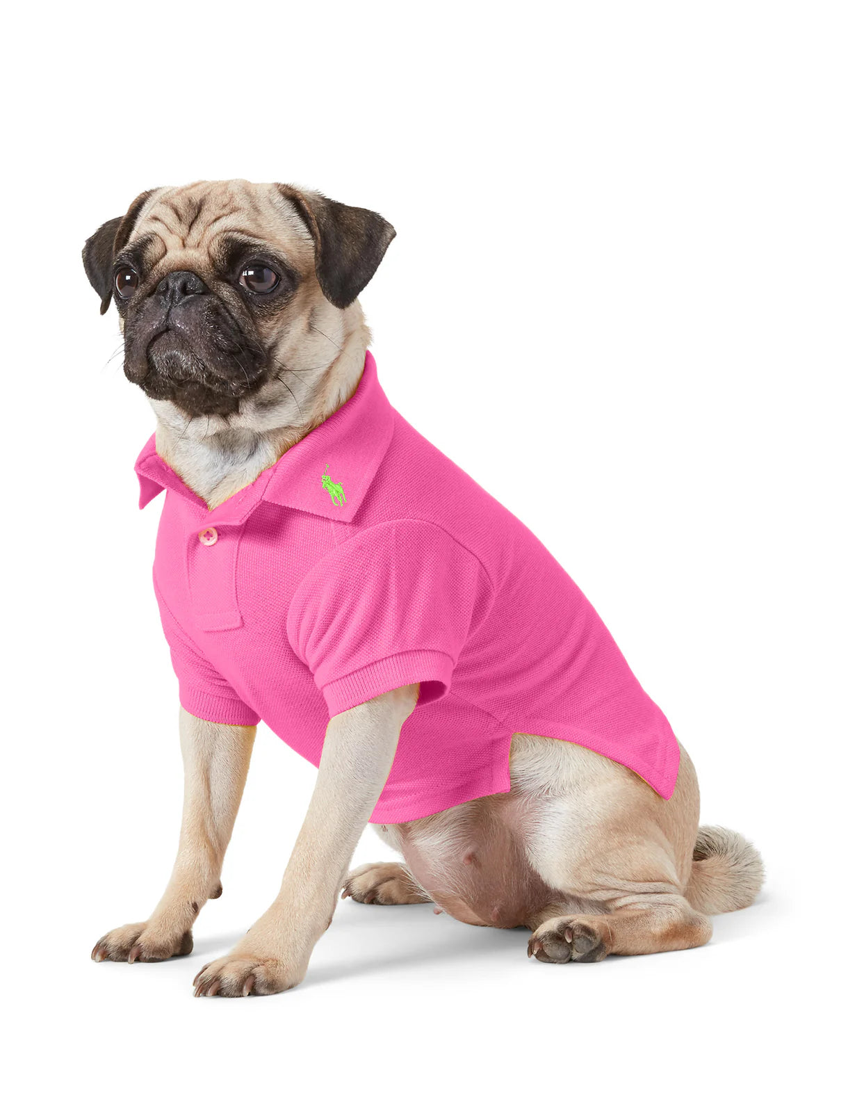 Ralph Lauren Polo for Dogs