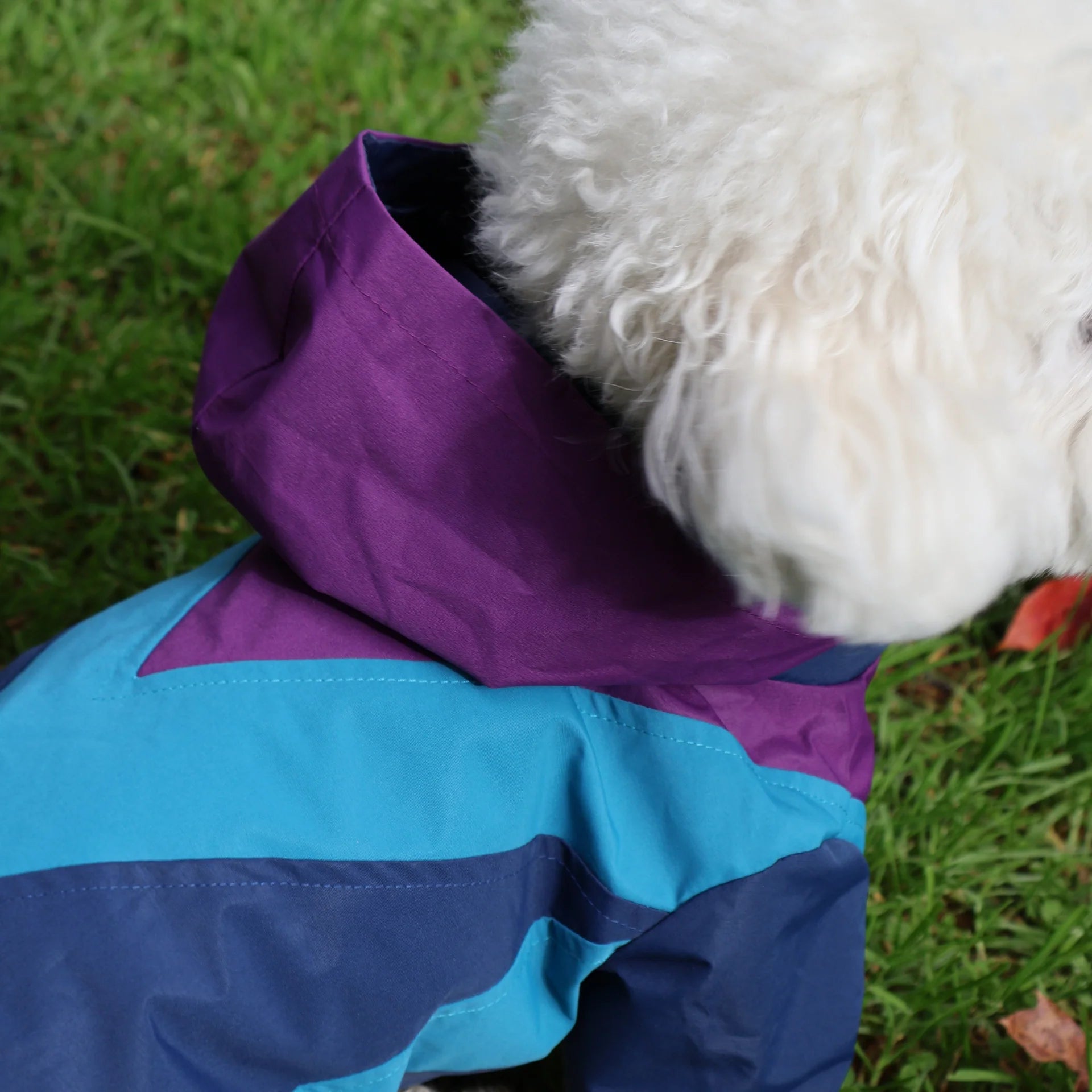 Domino Windbreaker