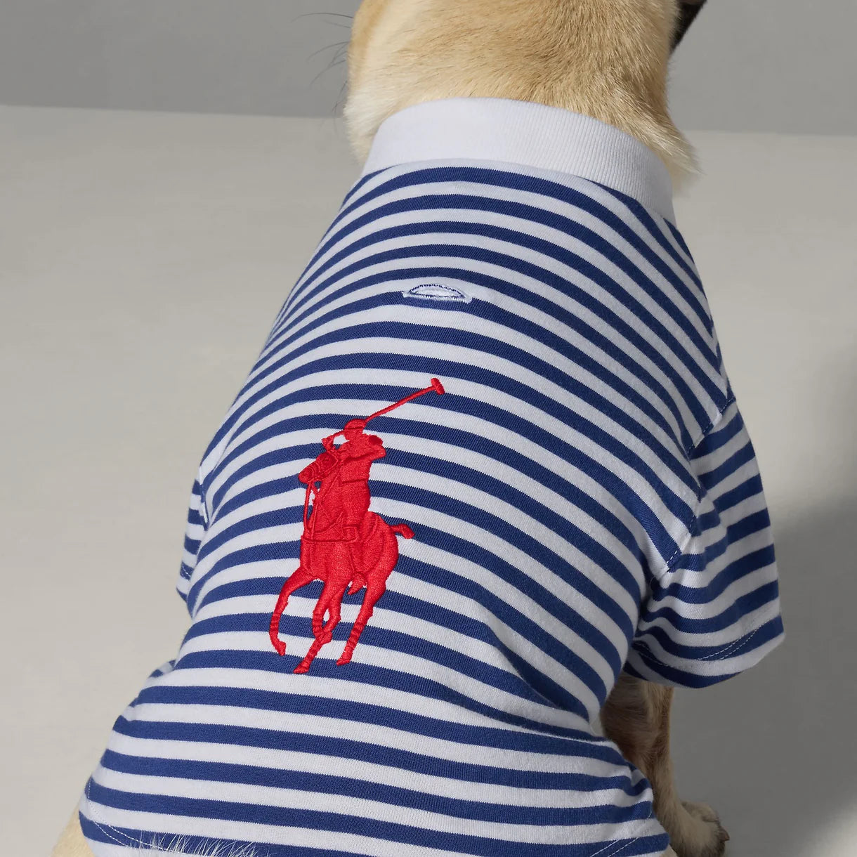 Ralph Lauren Polo Pony T-Shirt