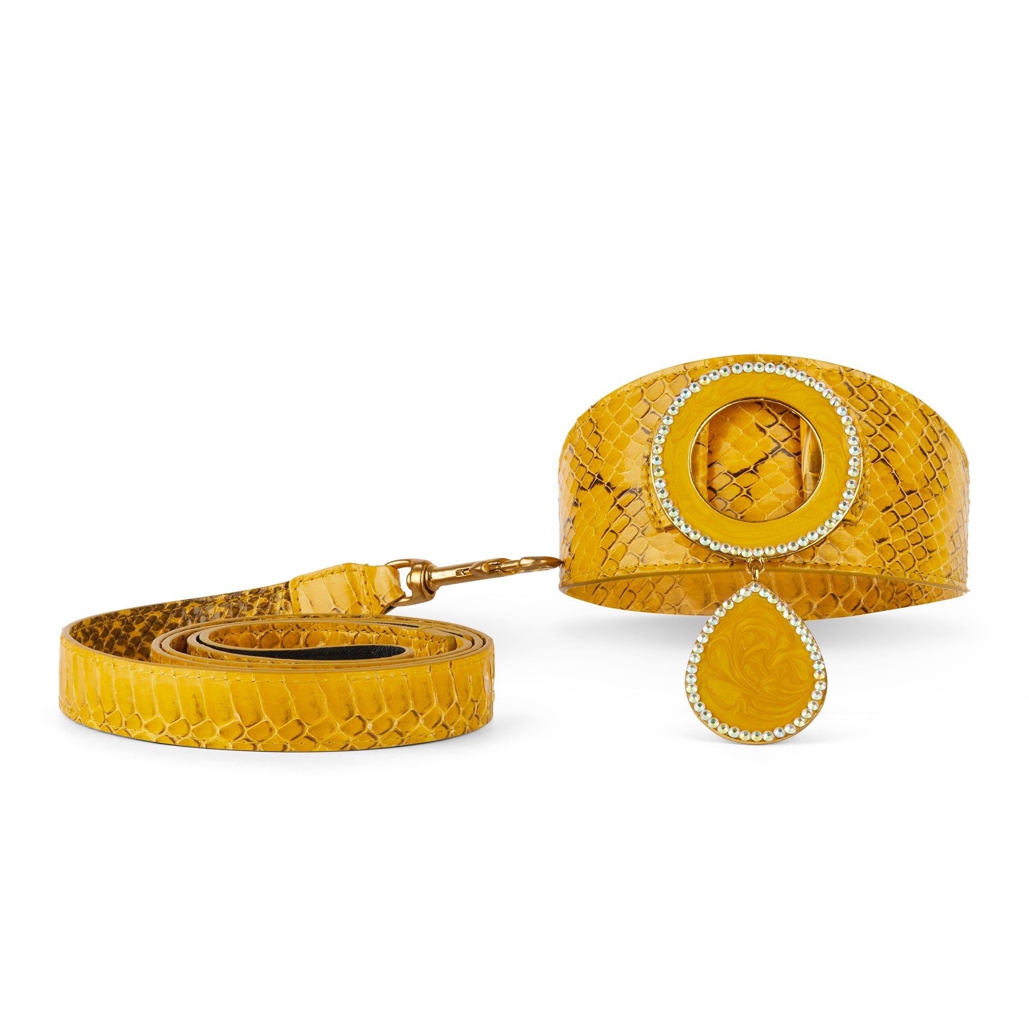Solar Flare Snake Print Collars