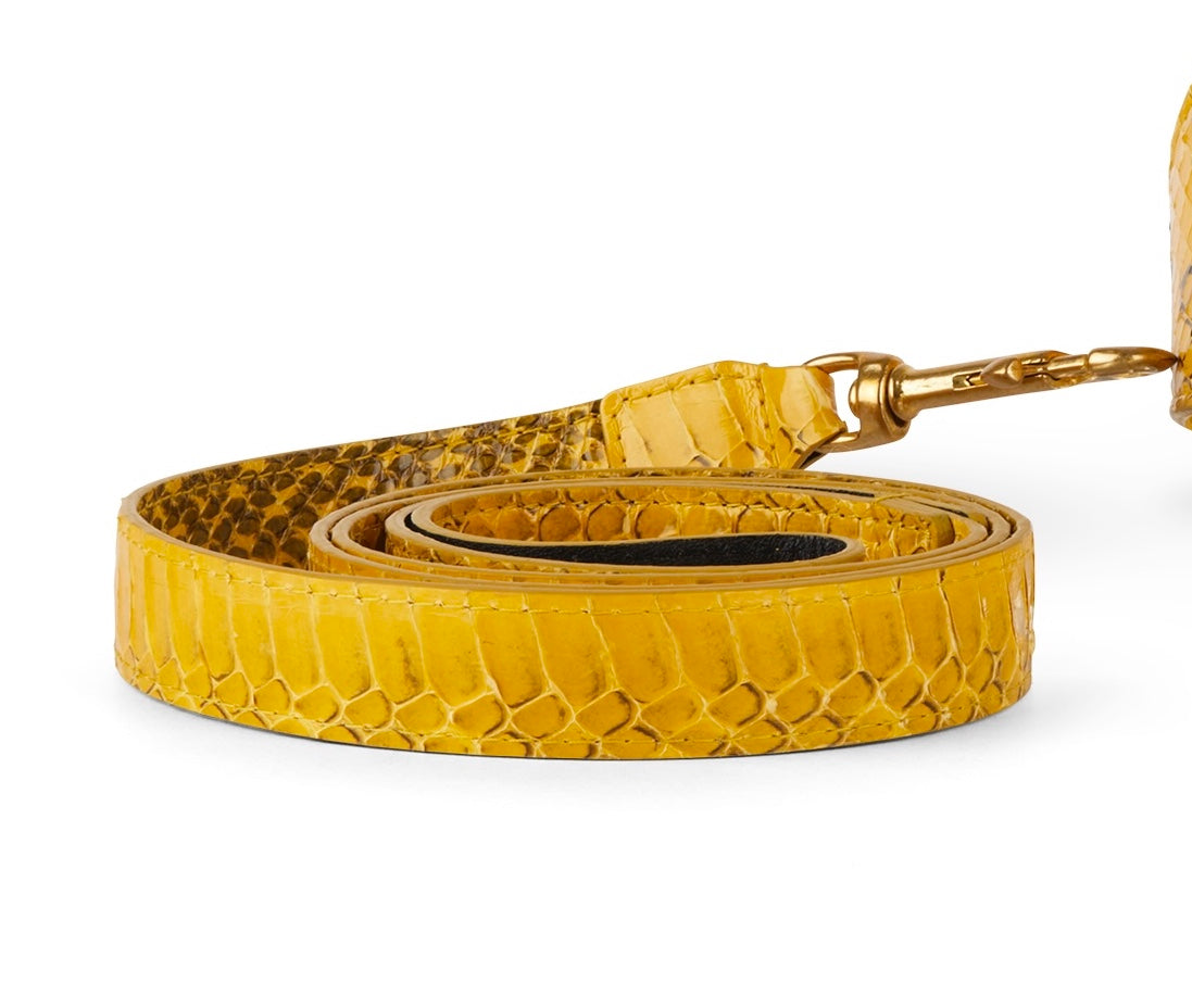 Solar Flare Snake Print Leashes