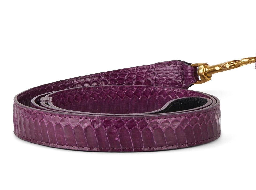 Solar Flare Snake Print Leashes