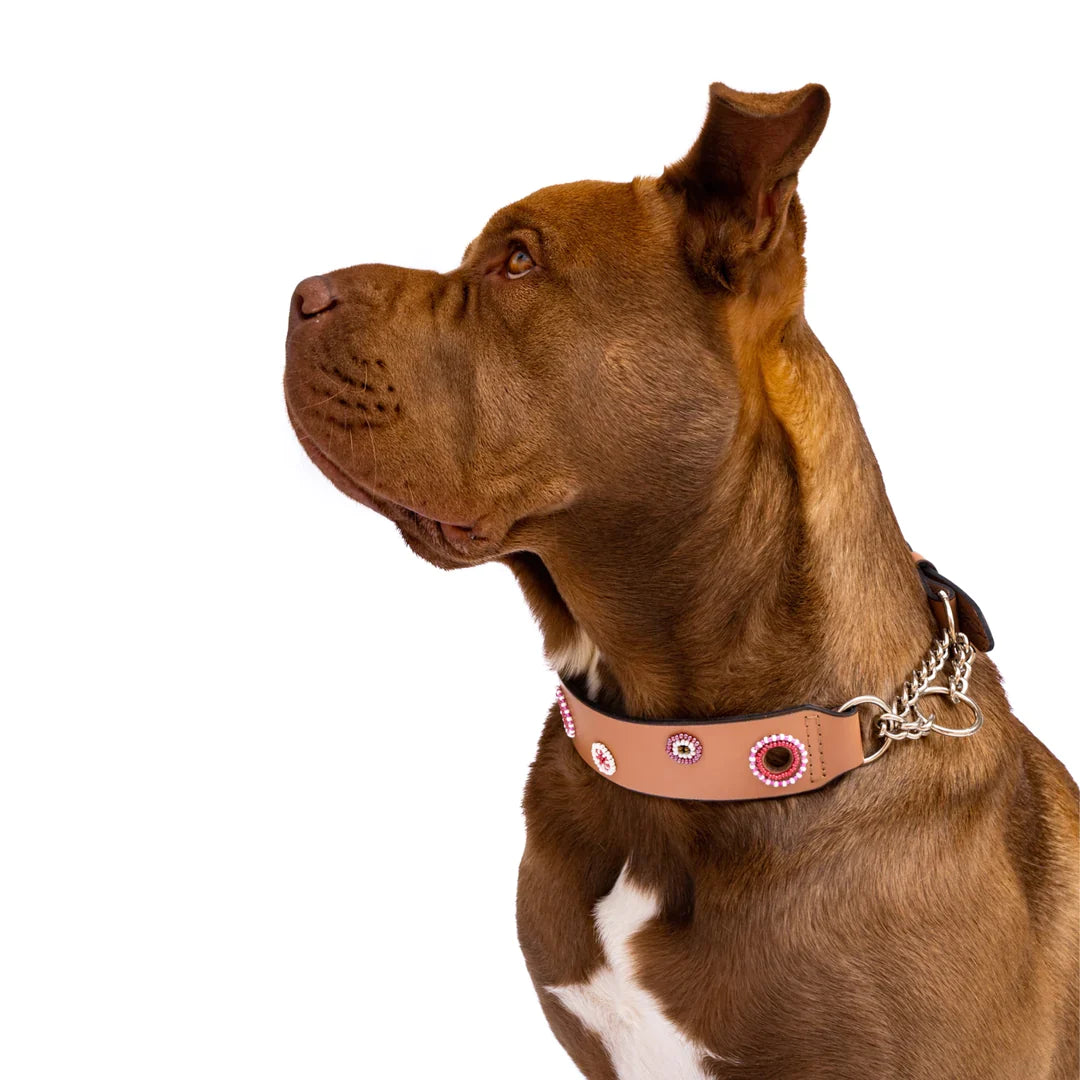 Bohemian Martingale Collar