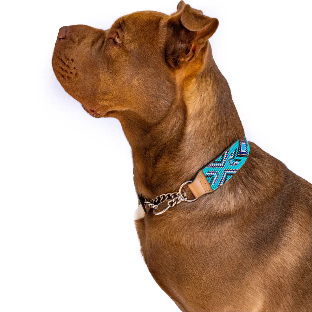 Bohemian Martingale Collar