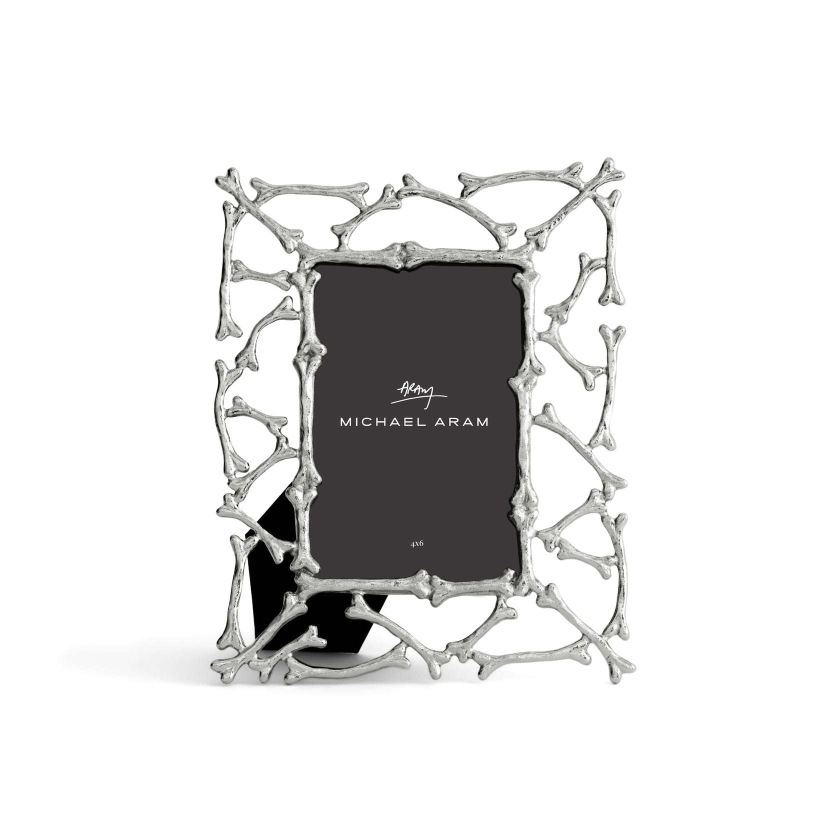 Argentum Bone Picture Frame