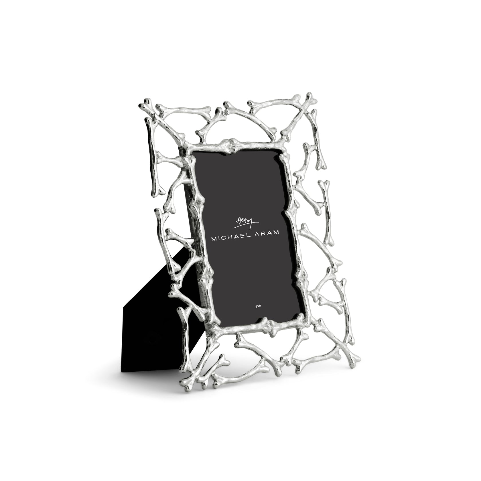 Argentum Bone Picture Frame